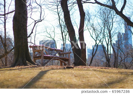 中央公園山頂長凳 中央公園山頂長凳 65967286