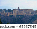 Alhambra Palace 65967545