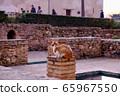 Alhambra palace Cat 65967550