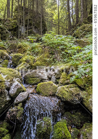 Huciaky gorge, Low Tatras mountains, Slovakia Huciaky gorge, Low Tatras mountains, Slovakia 65967882