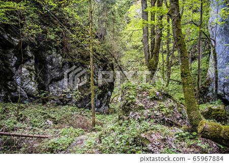 Huciaky gorge, Low Tatras mountains, Slovakia Huciaky gorge, Low Tatras mountains, Slovakia 65967884