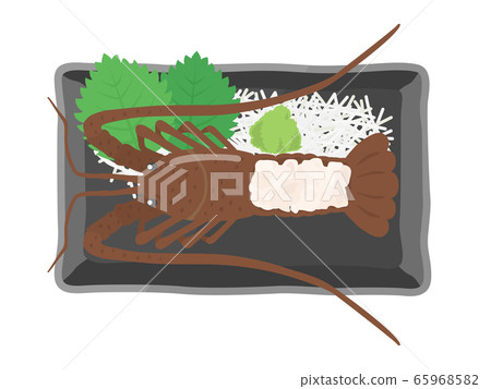Illustration of sashimi of lobster Illustration of sashimi of lobster 65968582