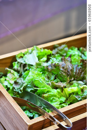 我們去摘菜 我們去摘菜 65968908