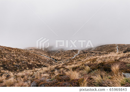 Tongariro National Park, New Zealand 65969843