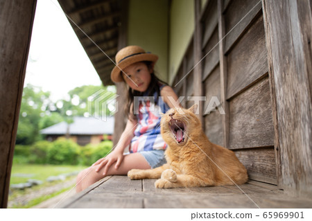 貓和女孩悠閒地度過 65969901