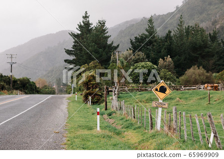 Cameo shell crossing sign in New Zealand Cameo shell crossing sign in New Zealand 65969909