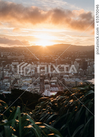 Wellington city center and harbour at sunset Wellington city center and harbour at sunset 65970046