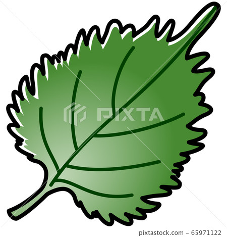 Shiso large leaf cartoon 65971122