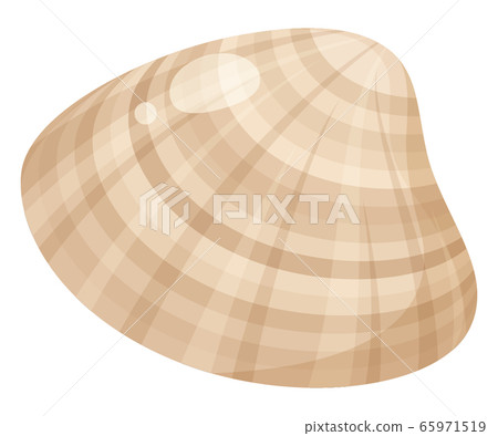 蛤插圖_1 65971519