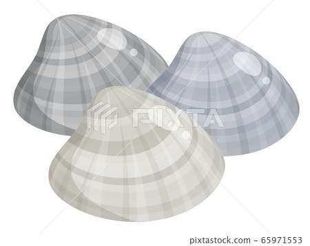 蛤插圖_3 蛤插圖_3 65971553