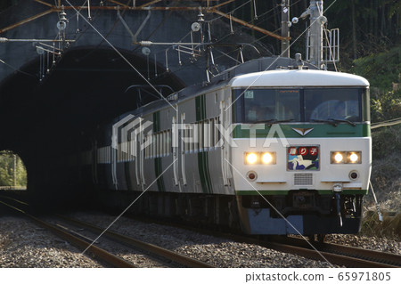 特急Odoriko：185系列火車（10列火車） 65971805