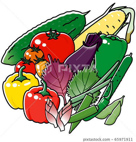Plenty of summer vegetables cartoon 65971911