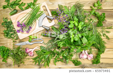 Fresh herbs vegetables Basil parsley mint thyme Stock Photo