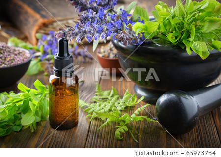 Dropper bottle of essential oil, medicinal herbs. 65973734