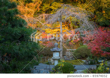 金海光明寺秋天的“神戶花園”乾燥景觀水域中的燈籠 金海光明寺秋天的“神戶花園”乾燥景觀水域中的燈籠 65974032