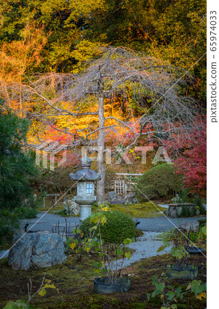 金海光明寺秋天的“神戶花園”乾燥景觀水域中的燈籠 金海光明寺秋天的“神戶花園”乾燥景觀水域中的燈籠 65974033