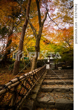 龍安寺的秋天 到倉庫的石階上的紅葉 照片素材 圖片 圖庫