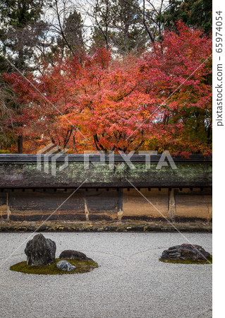 Autumn leaves at Ryoanji Temple Jojo Garden, stone garden Autumn leaves at Ryoanji Temple Jojo Garden, stone garden 65974054