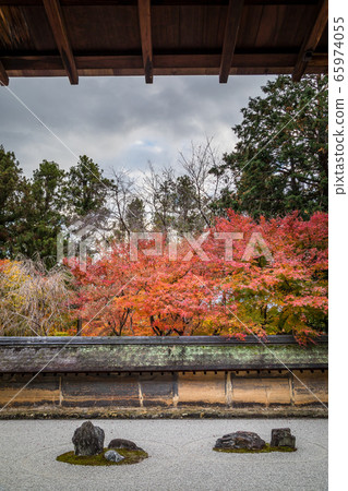 Autumn leaves at Ryoanji Temple Jojo Garden, stone garden Autumn leaves at Ryoanji Temple Jojo Garden, stone garden 65974055