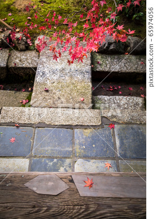 Ryoanji Temple Jojo Garden, a flat structure of the edge and the ground where the autumn leaves scatter 65974056