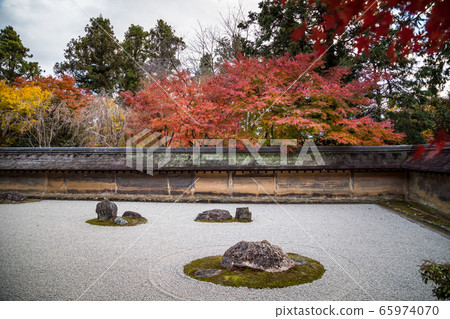 Autumn leaves at Ryoanji Temple Jojo Garden, stone garden Autumn leaves at Ryoanji Temple Jojo Garden, stone garden 65974070