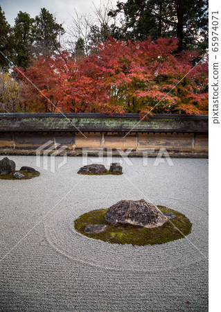 Autumn leaves at Ryoanji Temple Jojo Garden, stone garden Autumn leaves at Ryoanji Temple Jojo Garden, stone garden 65974071