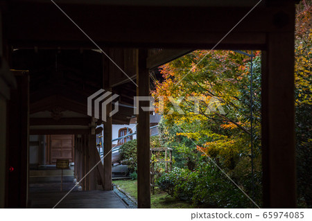 Ryoanji temple garden, view of autumn leaves from the corridor Ryoanji temple garden, view of autumn leaves from the corridor 65974085