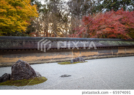 Ryoanji寺Jojo花園，石花園的秋葉 65974091