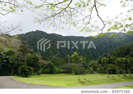 霍馬魯西亞植物園瓦胡島植物園 霍馬魯西亞植物園瓦胡島植物園 65975388