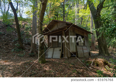 三座高水山脈的小屋(奧多摩) 三座高水山脈的小屋(奧多摩) 65976768