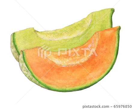 甜瓜手繪水彩 65976850