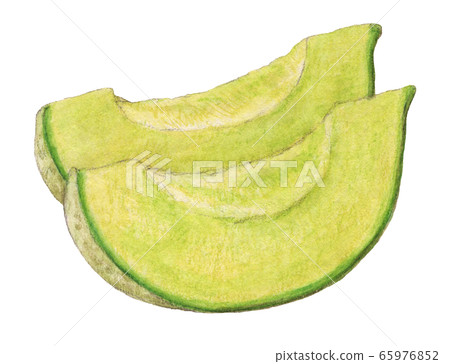 甜瓜手繪水彩 65976852