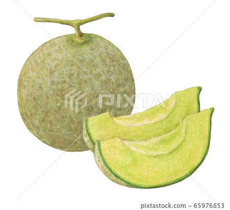 甜瓜手繪水彩 65976853
