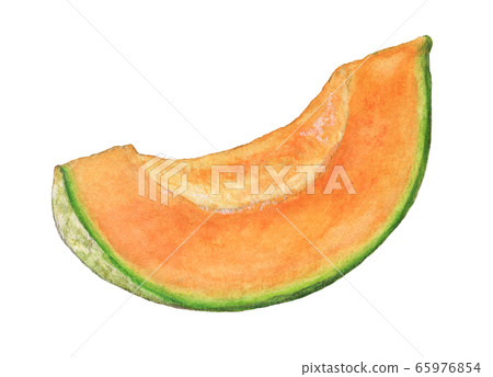 甜瓜手繪水彩 65976854