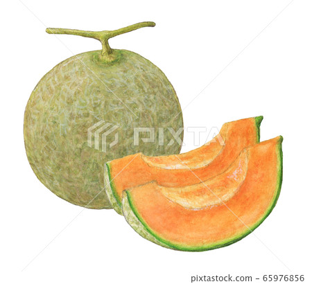 甜瓜手繪水彩 65976856
