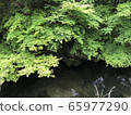 美濃國家紀念碑 65977290
