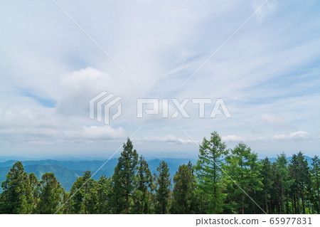 本田山（奧多摩）山頂的景色 65977831