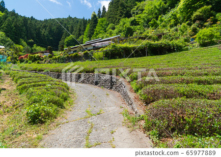 Okufujiyama（Okutakao）的Kamazawa Rest Station 65977889