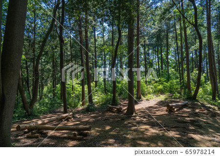 天然山和T山的山間小路 天然山和T山的山間小路 65978214