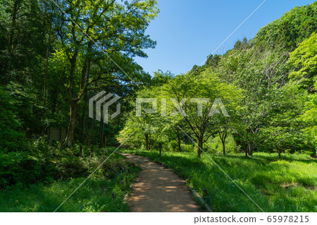 天然山和T山的山間小路 天然山和T山的山間小路 65978215