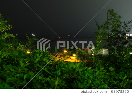 田山公園的夜景 65978230