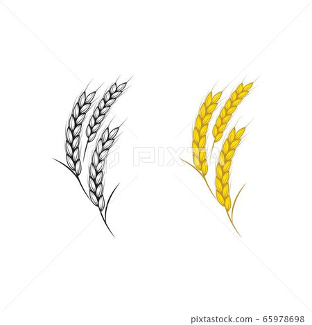 agriculture rice vector icon illustration stock illustration 65978698 pixta pixta