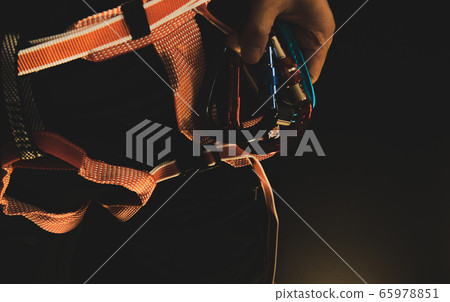 Harness black background 65978851