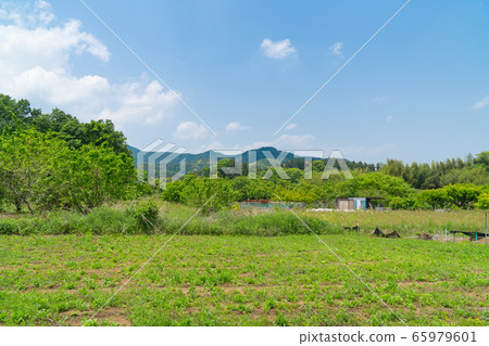 Near JR Ogose Station 65979601