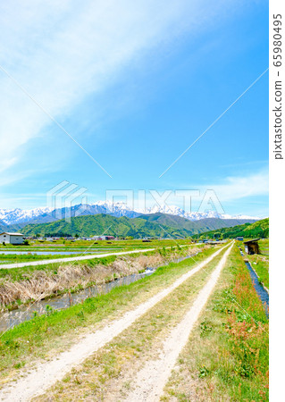 View of the Northern Alps from the fresh green Omachi city 65980495
