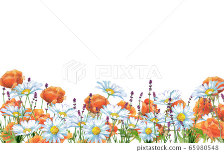 玫瑰,雛菊和熏衣草 玫瑰,雛菊和熏衣草 65980548