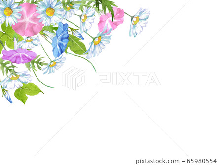 牽牛花和瑪格麗特 牽牛花和瑪格麗特 65980554