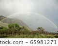 Rainbow 65981271