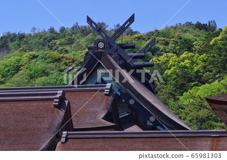 Main roof of Izumo Taisha main shrine 65981303