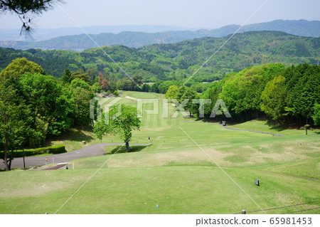 新鮮的綠色高爾夫球場 65981453